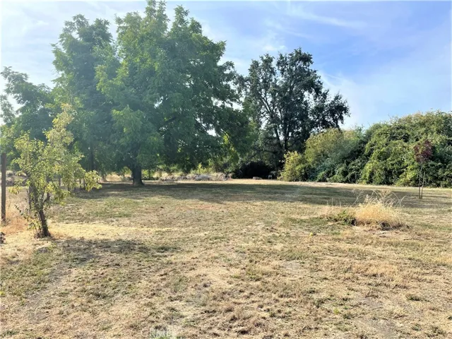 1115 Pitney Lane, Upper Lake, California 95485