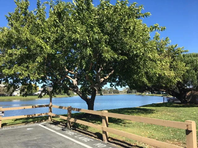 , San Mateo, California 94403