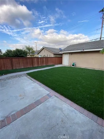 New grass