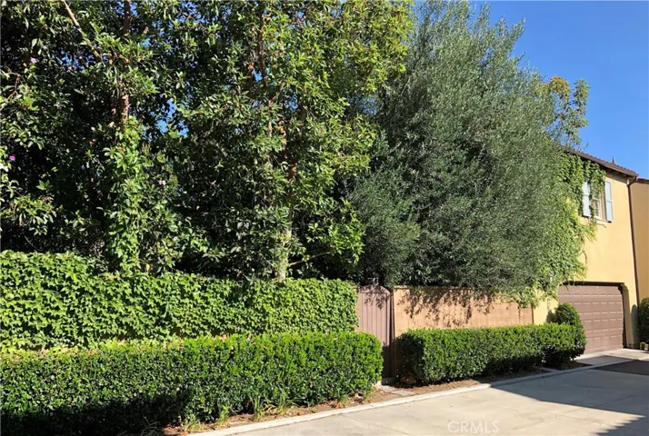 Garage and back gate