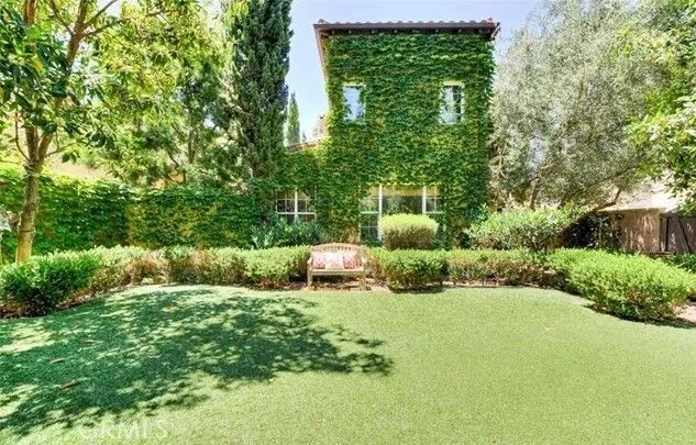 Paradise backyard