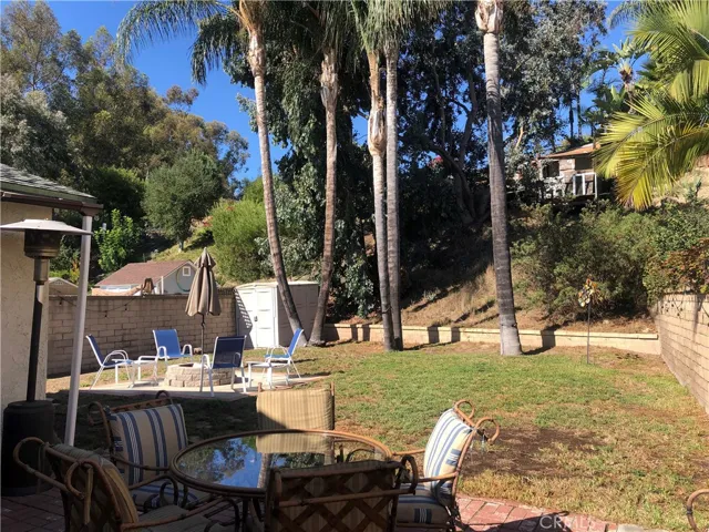 Large Backyard