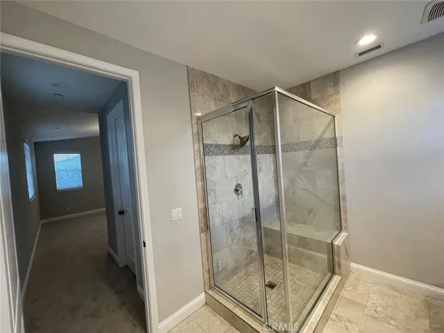 Master Shower