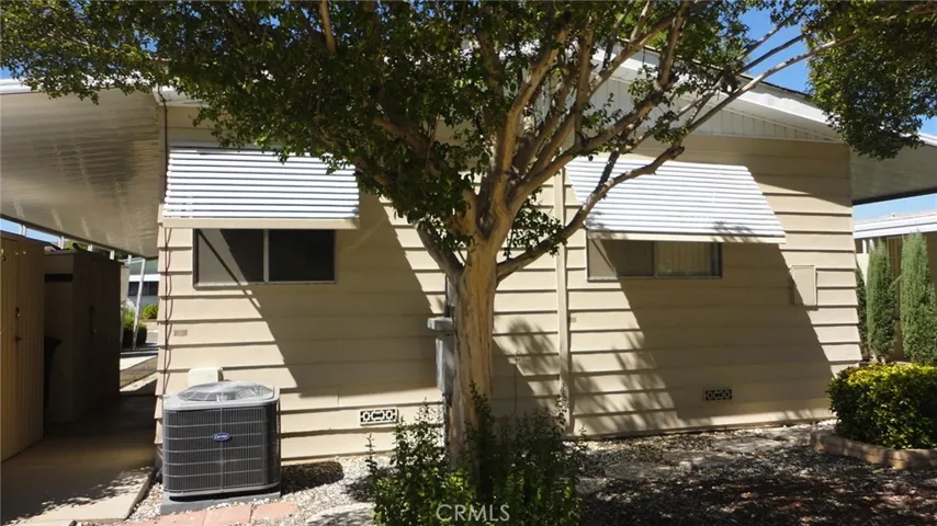 Backyard with Seasoned Tree for Shade