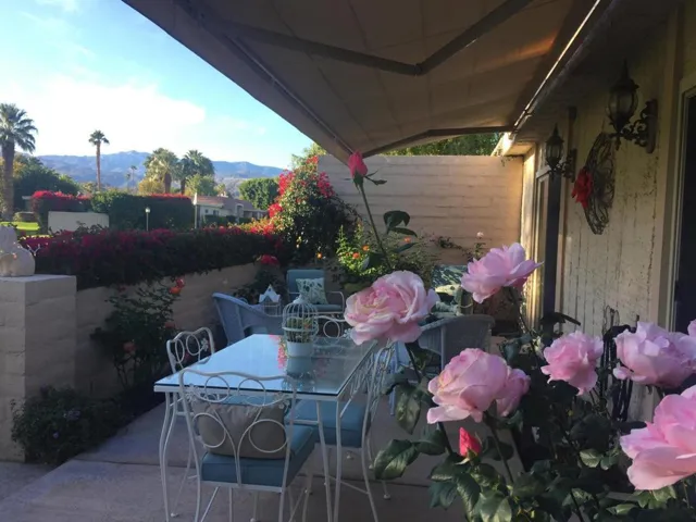 E picture roses 1
