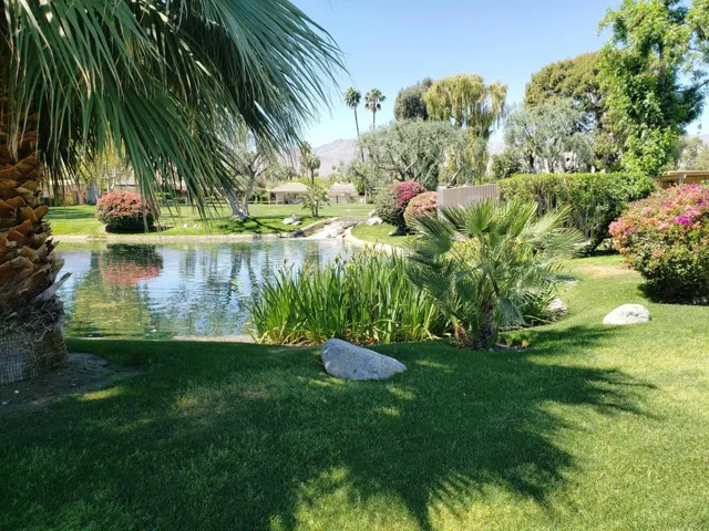 Front pond with lilies