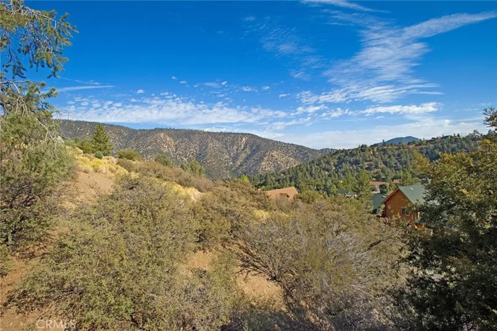 1921 Pioneer Way, Pine Mountain Club, California 93222