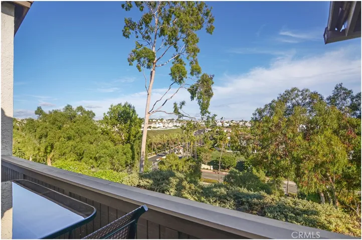 32 Corniche Dr F, Dana Point, California 92629