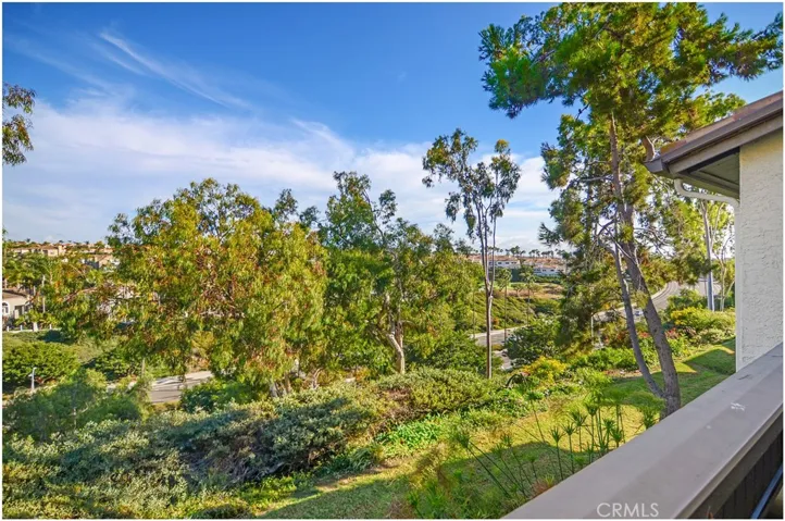 32 Corniche Dr F, Dana Point, California 92629