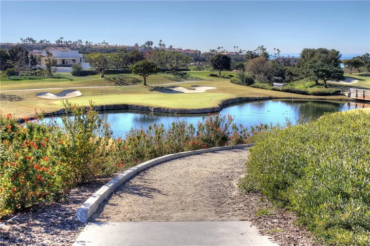 32 Corniche Dr F, Dana Point, California 92629