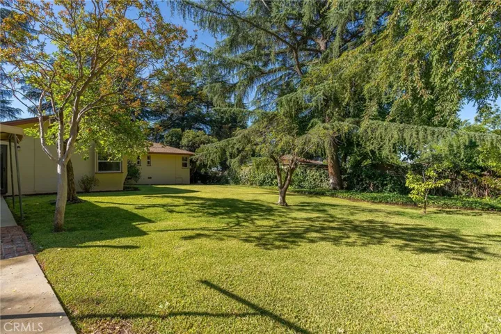 35262 Beech Avenue, Yucaipa, California 92399