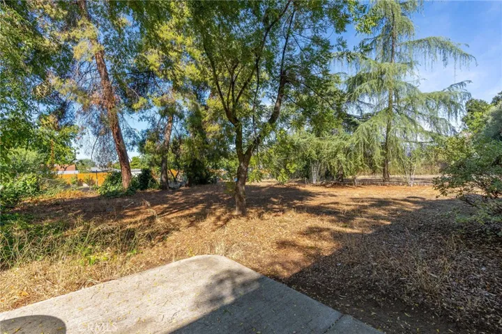 35262 Beech Avenue, Yucaipa, California 92399