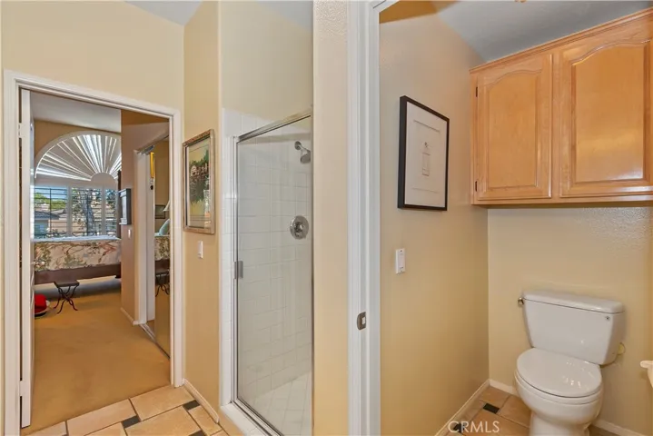 Master Bath with New Toilet