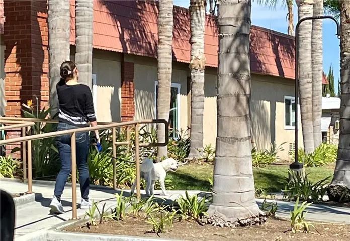 Pet friendly!