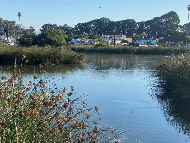 Lagoon