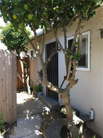 Patio with Lemon tree
