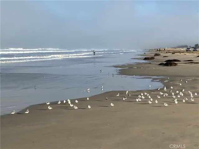 Beach Area