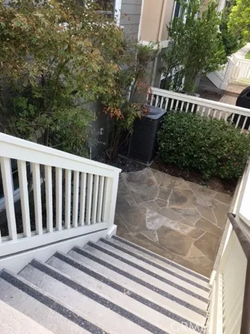 patio tree