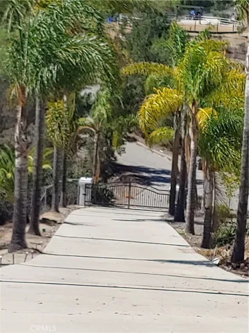 Private driveway lined with palm trees