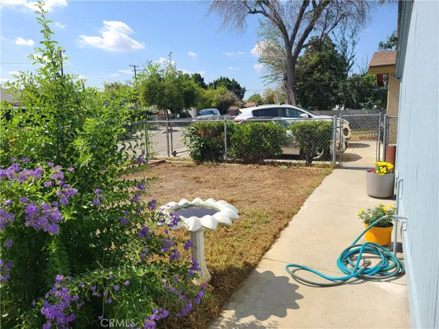 Front yard