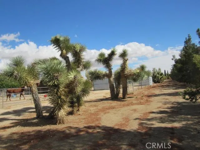 10262 Valle Vista Road, Phelan, California 92371