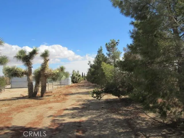 10262 Valle Vista Road, Phelan, California 92371
