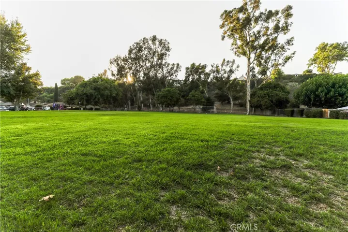 Adjacent neighborhood park w/ play structure, picnic area and volleyball court