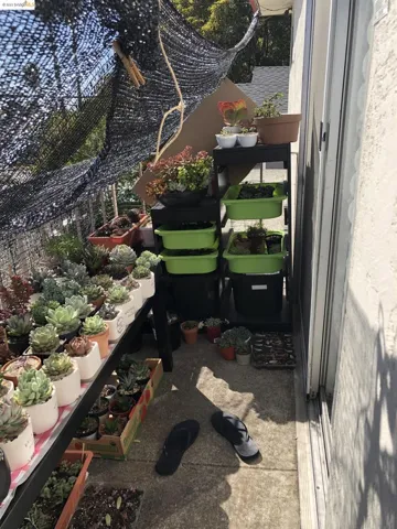 3909 Midvale Ave., Oakland, California 94602-3946