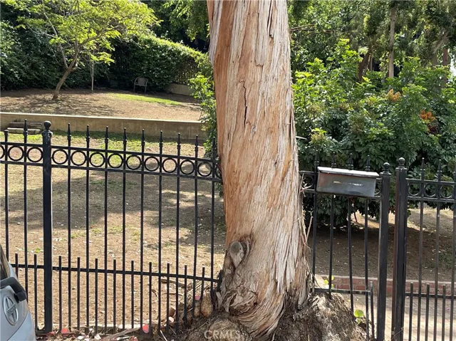 What would a great dog park be, if it didn't have amazing trees?
