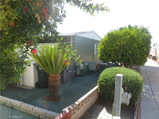 Back yard with fruit trees (all citrus)