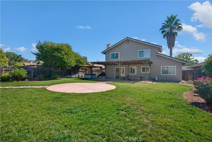 Back yard