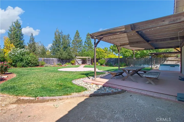 Back yard