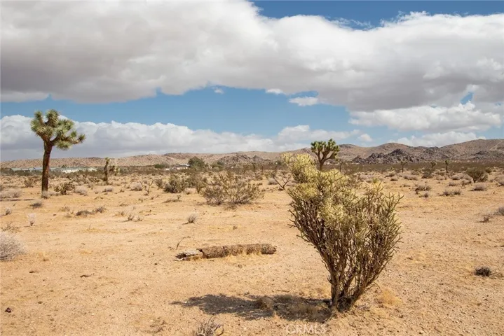 4100 Center Avenue, Joshua Tree, California 92252