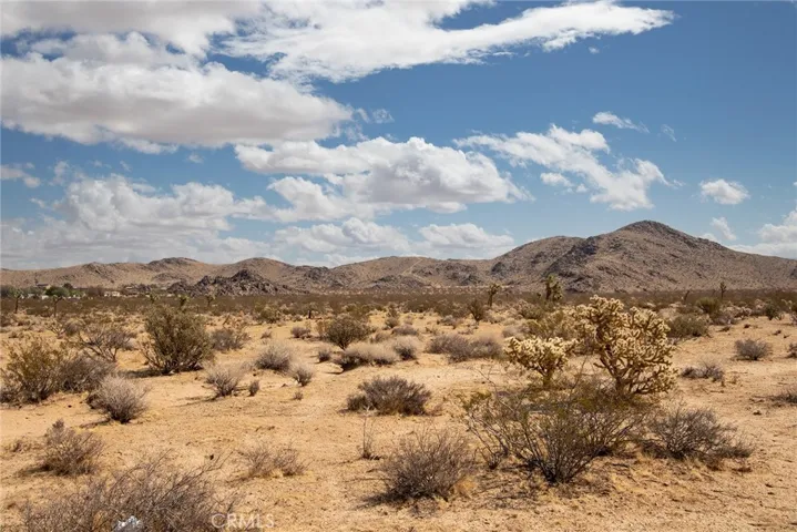 4100 Center Avenue, Joshua Tree, California 92252