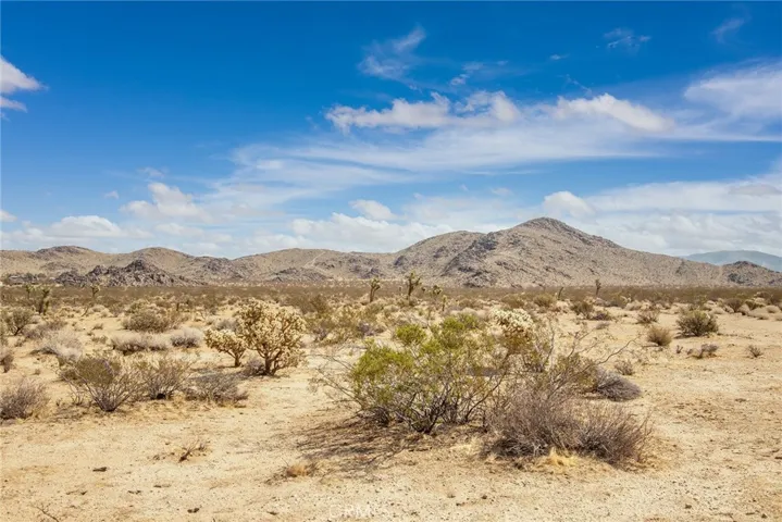4100 Center Avenue, Joshua Tree, California 92252