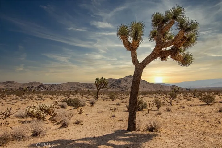 4100 Center Avenue, Joshua Tree, California 92252