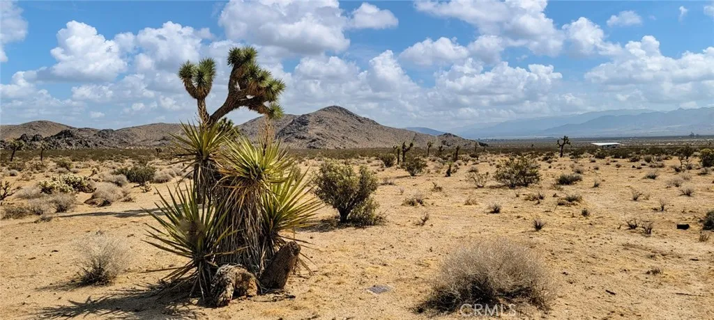 4100 Center Avenue, Joshua Tree, California 92252
