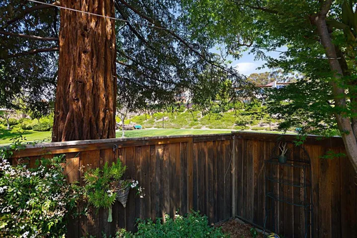View over fence