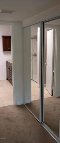 Mirror Closet Doors
