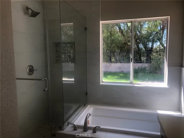 Master bathroom- new bathtub and shower