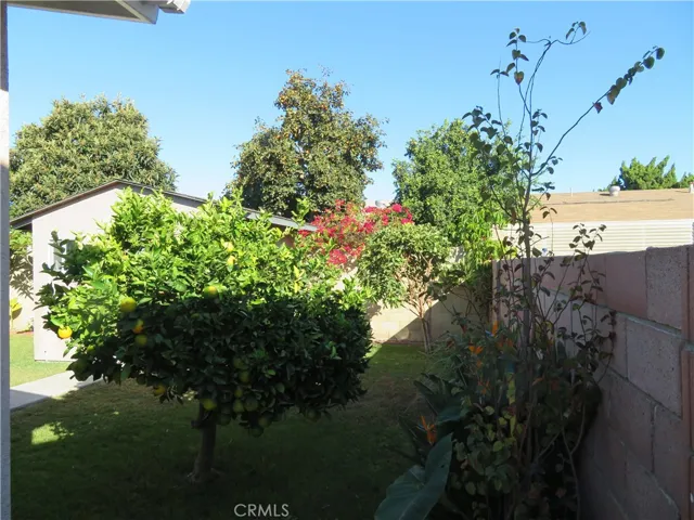 Backyard various fruit trees