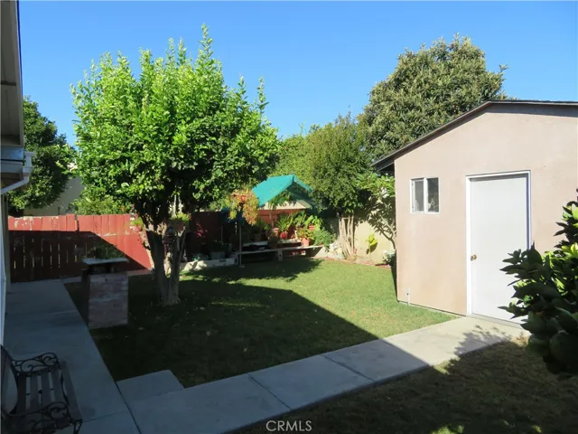 backyard various fruit trees and large stoarge shed