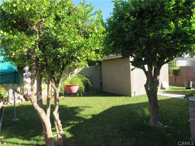 view of backyard storage shed