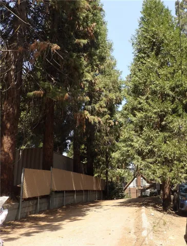 FRONT DRIVEWAY AND PARKING AREA.
