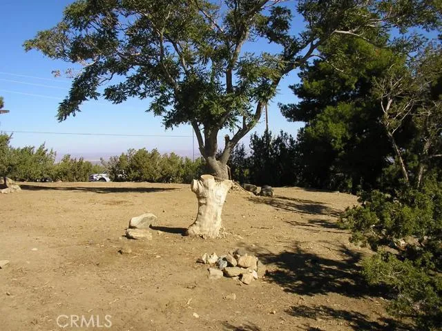 1401 Valley View Road, Pinon Hills, California 92372