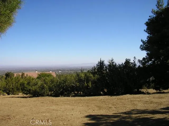 1401 Valley View Road, Pinon Hills, California 92372