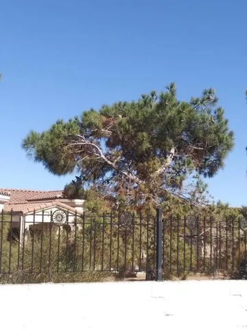 11572 Prairie, Oak Hills, California 92344
