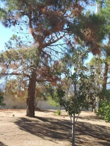 11572 Prairie, Oak Hills, California 92344