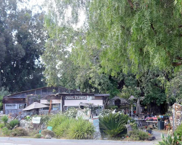 501 Quail Gardens Drive, Encinitas, California 92024