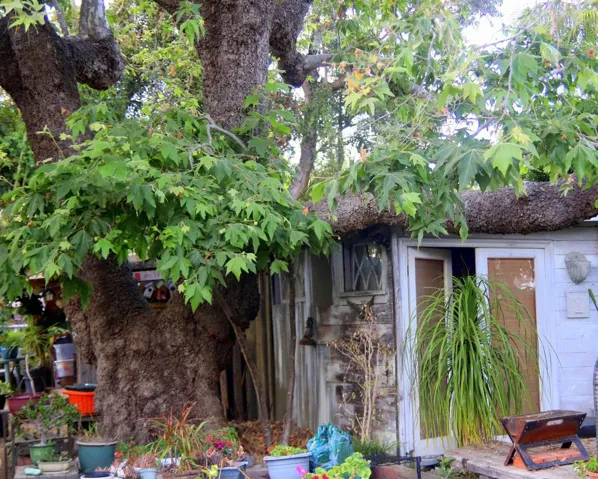 501 Quail Gardens Drive, Encinitas, California 92024